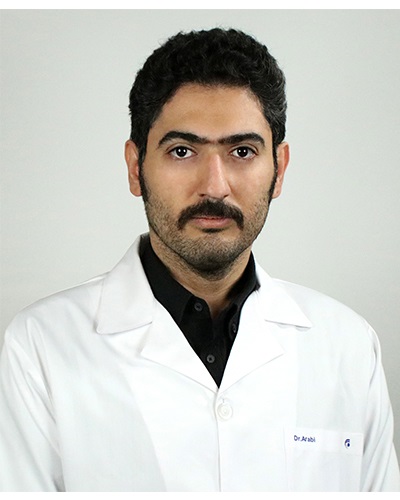 امیر عربی