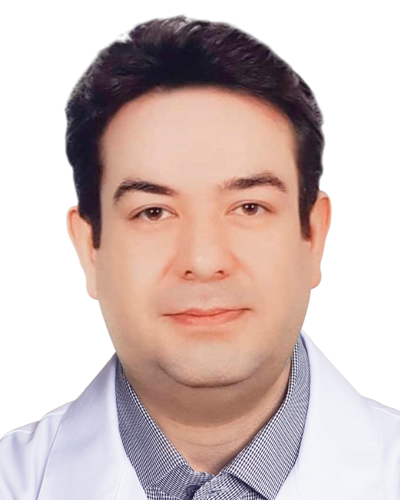 دکتر محمد حسن ریخته گر